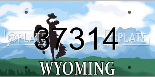37314 Wyoming License Plate