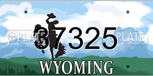 37325 Wyoming License Plate