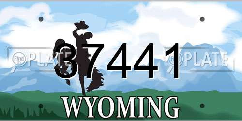 37441 Wyoming License Plate
