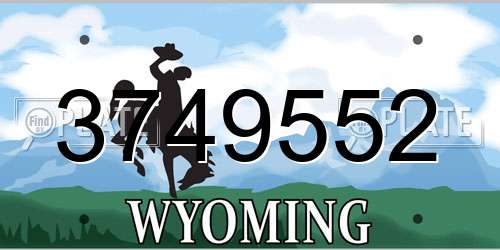 3749552 Wyoming License Plate