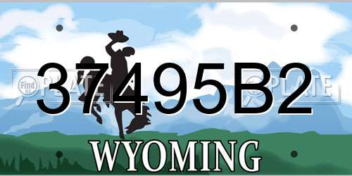 37495B2 Wyoming License Plate