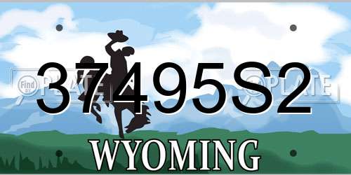 37495S2 Wyoming License Plate