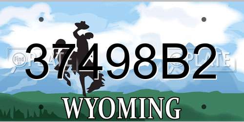 37498B2 Wyoming License Plate