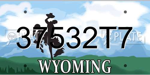 37532T7 Wyoming License Plate