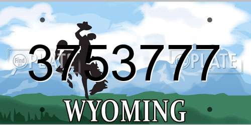 3753777 Wyoming License Plate