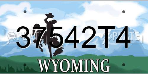 37542T4 Wyoming License Plate