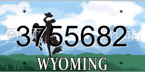 3755682 Wyoming License Plate