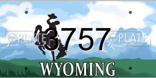 3757 Wyoming License Plate