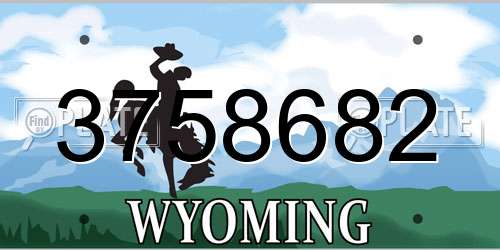 3758682 Wyoming License Plate