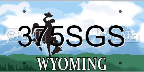 375SGS Wyoming License Plate