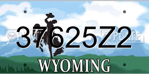 37625Z2 Wyoming License Plate