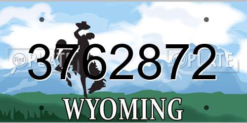 3762872 Wyoming License Plate