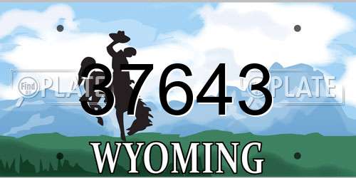 37643 Wyoming License Plate
