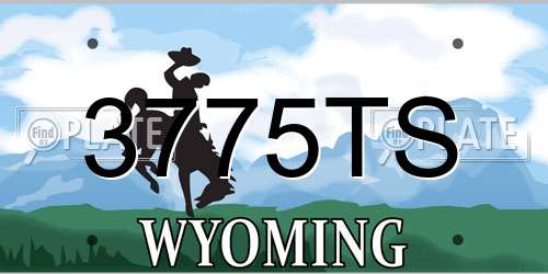 3775TS Wyoming License Plate