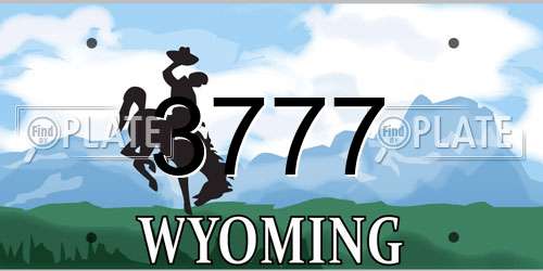 3777 Wyoming License Plate