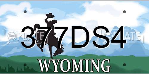 377DS4 Wyoming License Plate