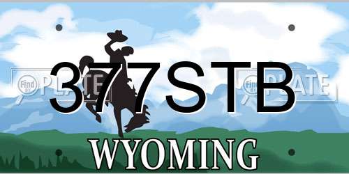 377STB Wyoming License Plate