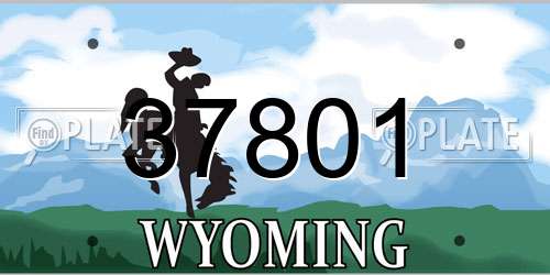 37801 Wyoming License Plate