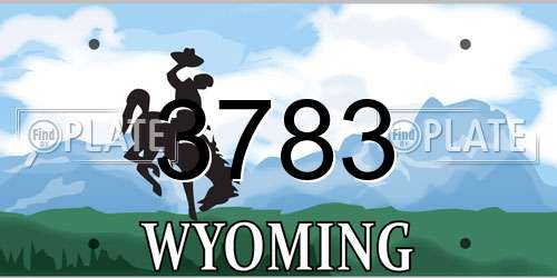 3783 Wyoming License Plate