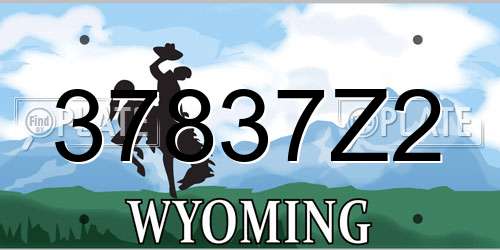 37837Z2 Wyoming License Plate