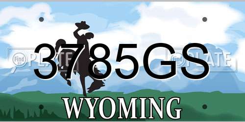 3785GS Wyoming License Plate