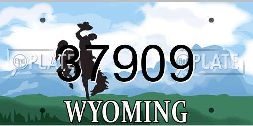 37909 Wyoming License Plate