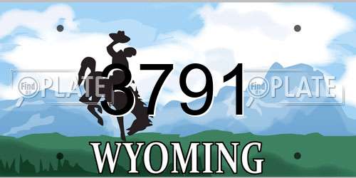 3791 Wyoming License Plate