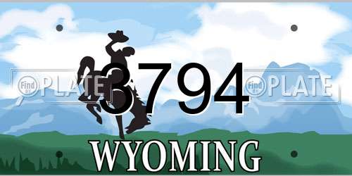 3794 Wyoming License Plate