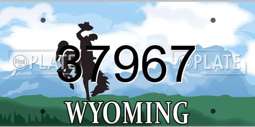 37967 Wyoming License Plate