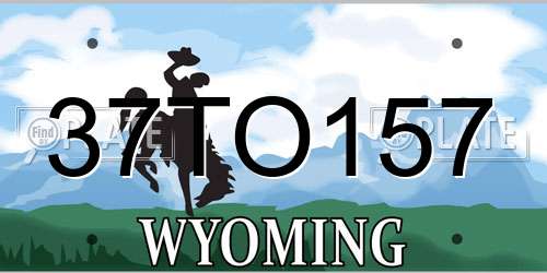 37TO157 Wyoming License Plate
