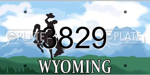 3829 Wyoming License Plate