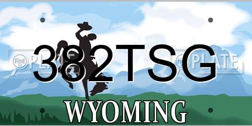 382TSG Wyoming License Plate