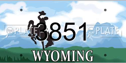 3851 Wyoming License Plate
