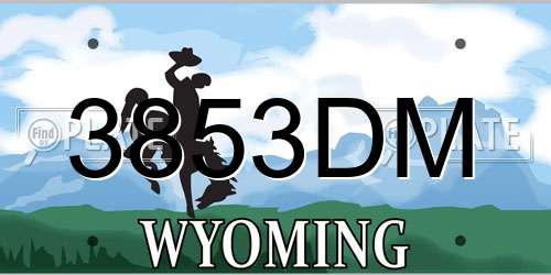 3853DM Wyoming License Plate