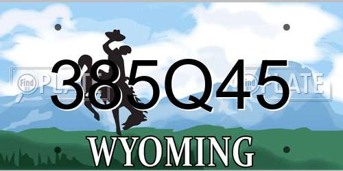 385Q45 Wyoming License Plate