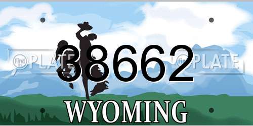 38662 Wyoming License Plate