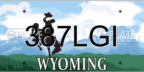 387LGI Wyoming License Plate