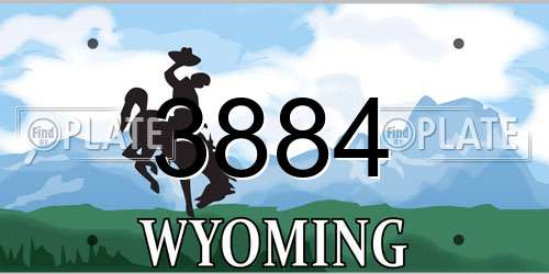 3884 Wyoming License Plate