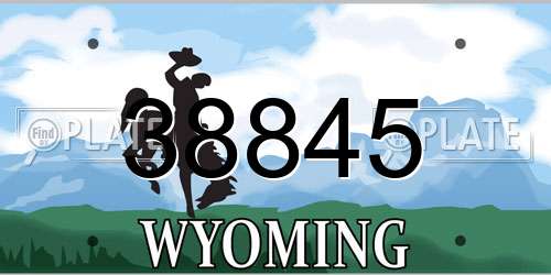 38845 Wyoming License Plate