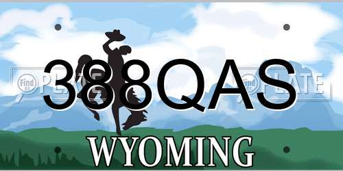 388QAS Wyoming License Plate