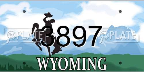 3897 Wyoming License Plate