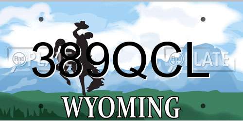 389QCL Wyoming License Plate