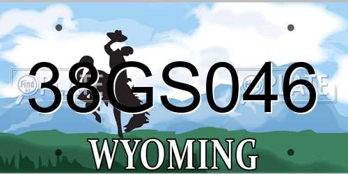 38GS046 Wyoming License Plate