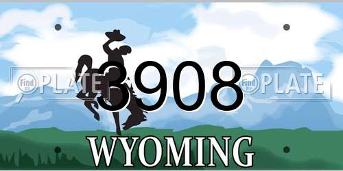 3908 Wyoming License Plate