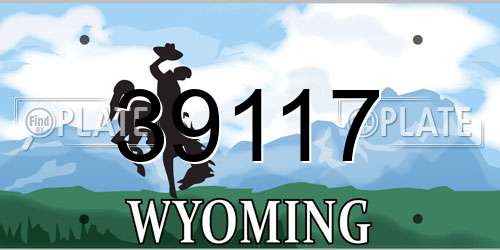 39117 Wyoming License Plate