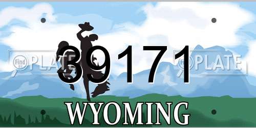 39171 Wyoming License Plate