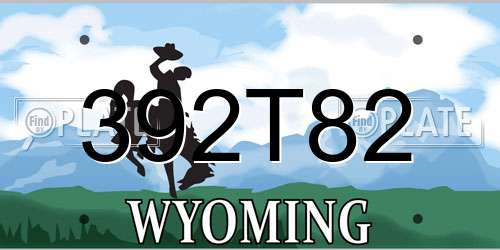 392T82 Wyoming License Plate