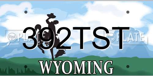 392TST Wyoming License Plate