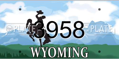 3958 Wyoming License Plate