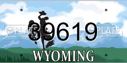 39619 Wyoming License Plate